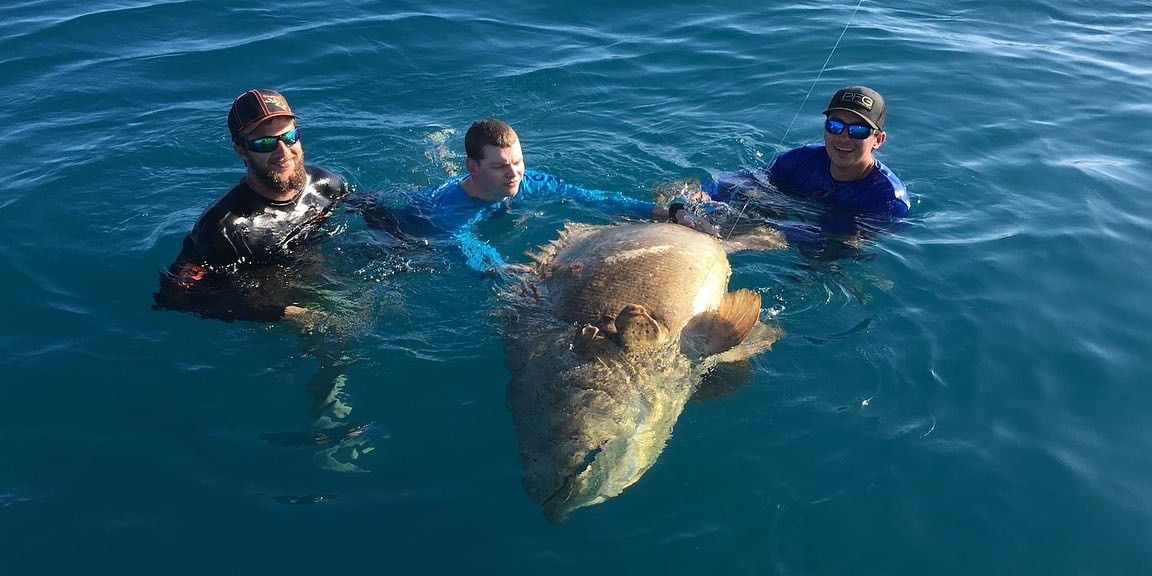 Tampa Bay inshore fishing charter boat with anglers catching snook and redfish in Florida waters