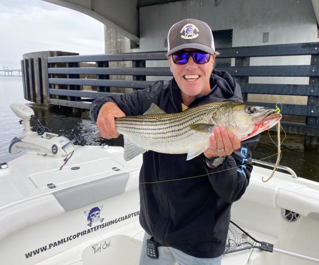 Striped bass caught on fishing charter in Oriental NC waters