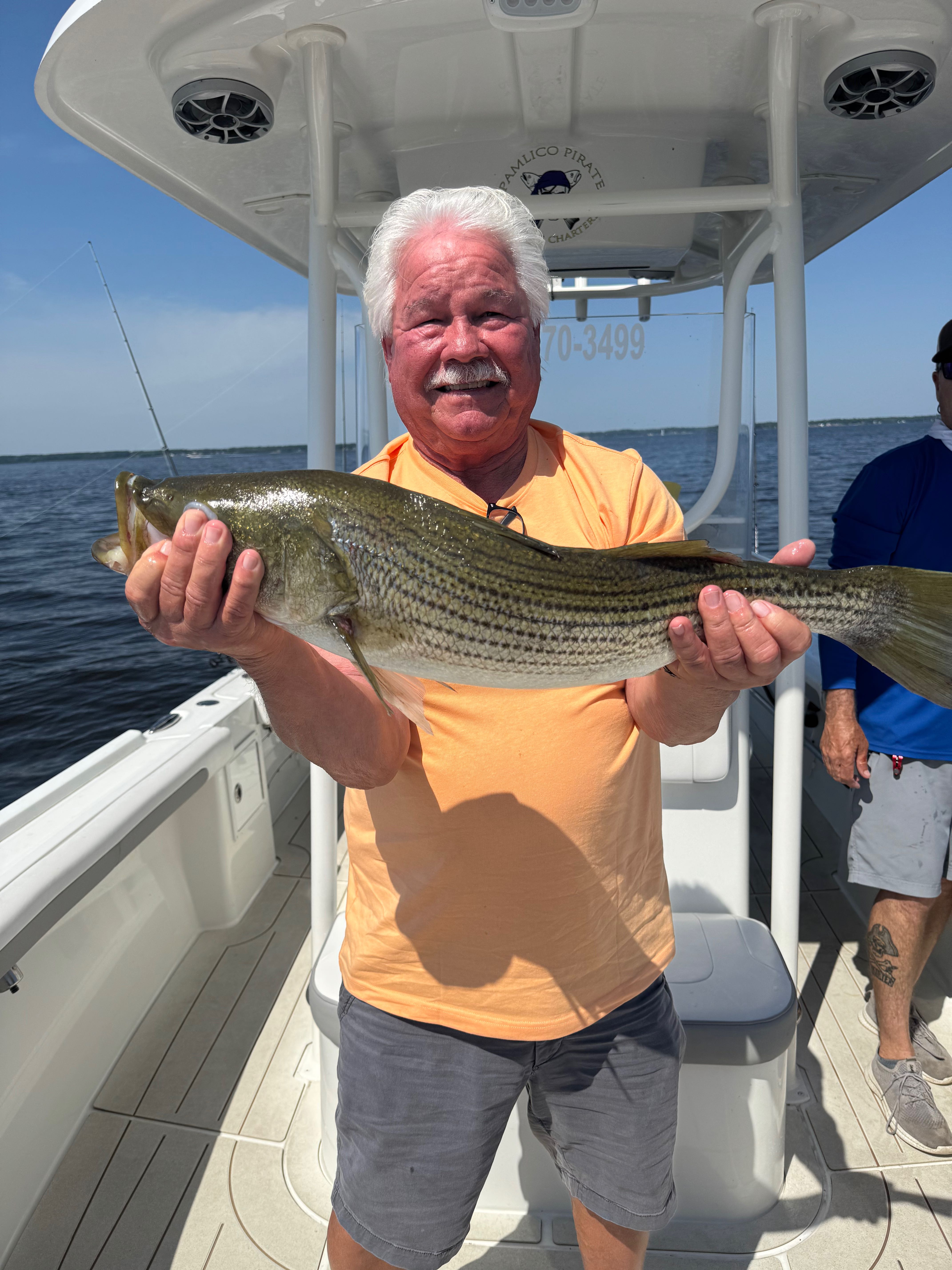 Striped bass catch displayed on fishing charter boat in Oriental NC waters