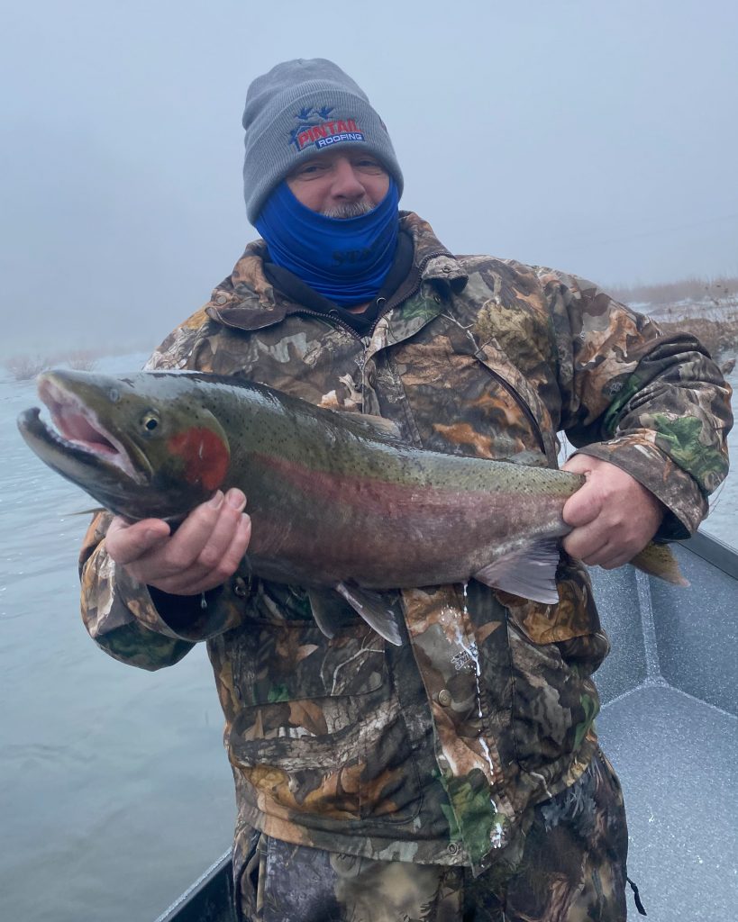 A lone rainbow trout caught in Roseburg