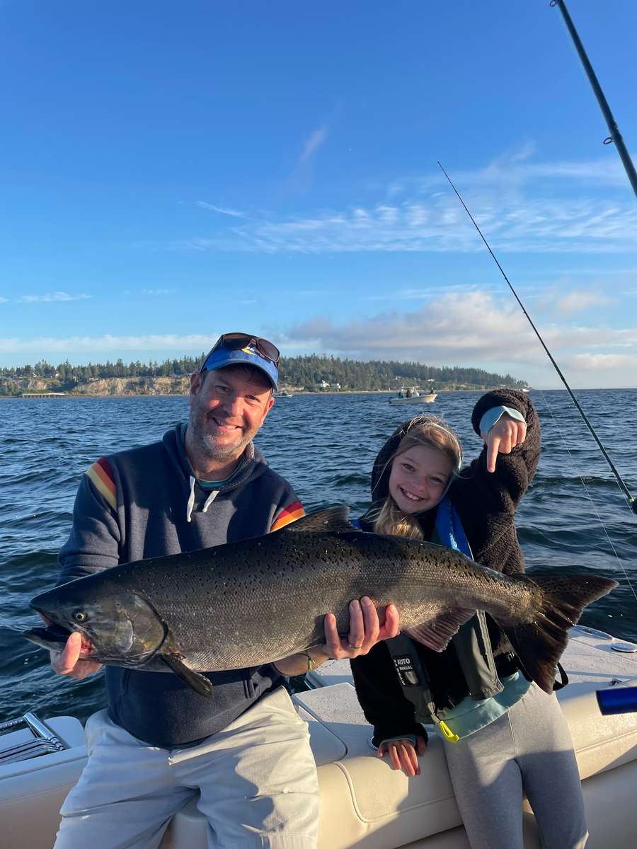Chinook salmon, 36-inch fishing catch in Washington state
