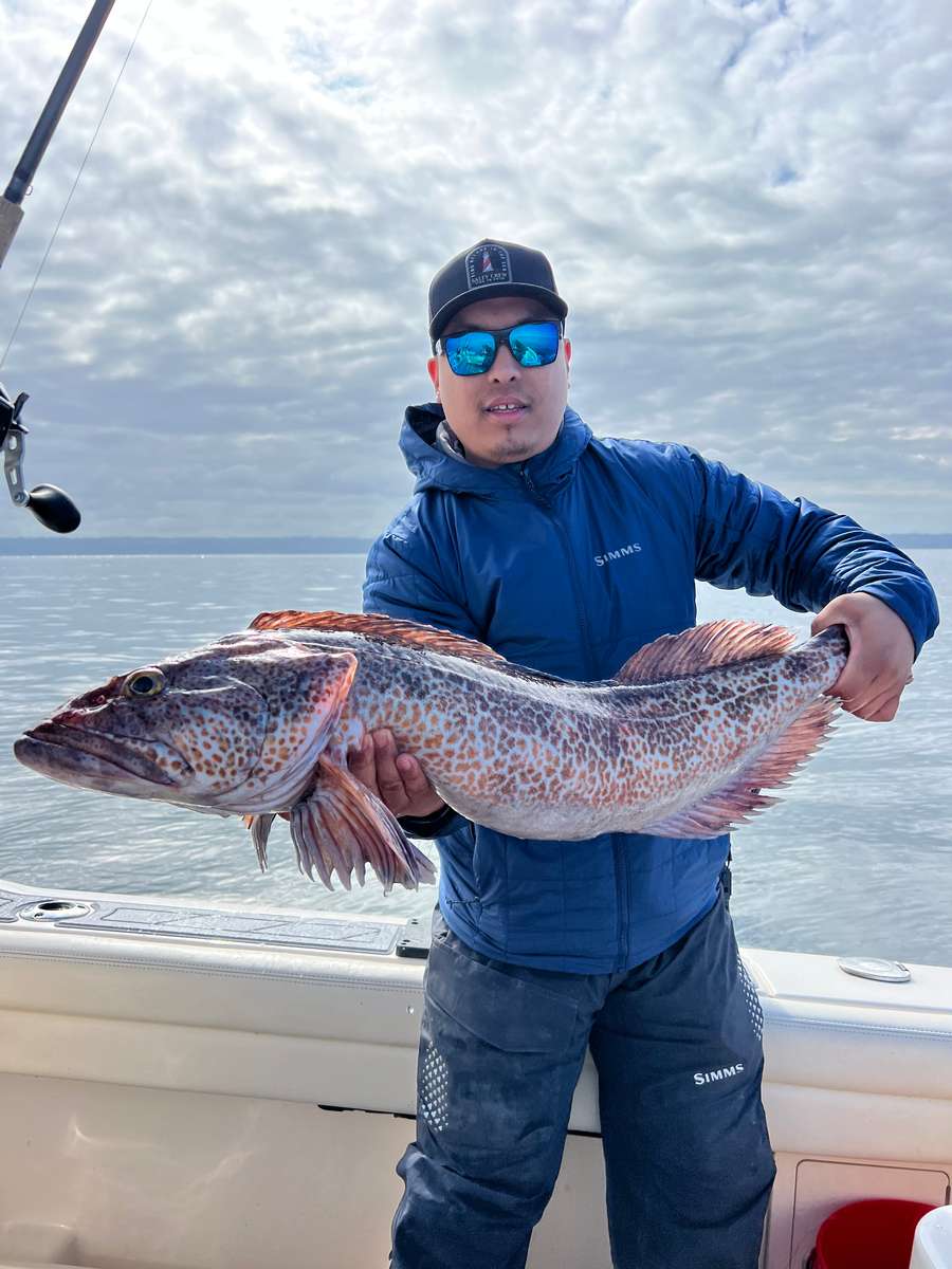 Angler with a massive northern snakehead fish catch in Seattle