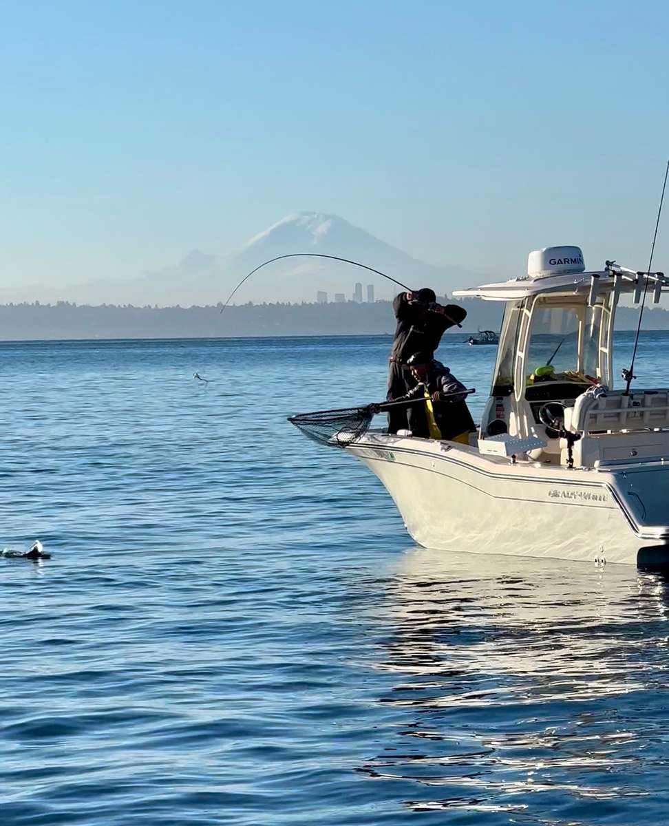 A scenic view of the Seattle skyline with boats on the water