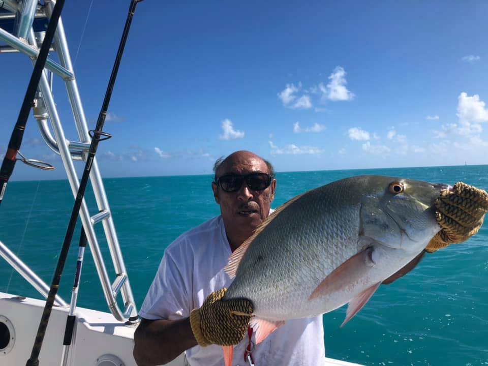 Photo of a dog snapper fish caught while fishing in FL