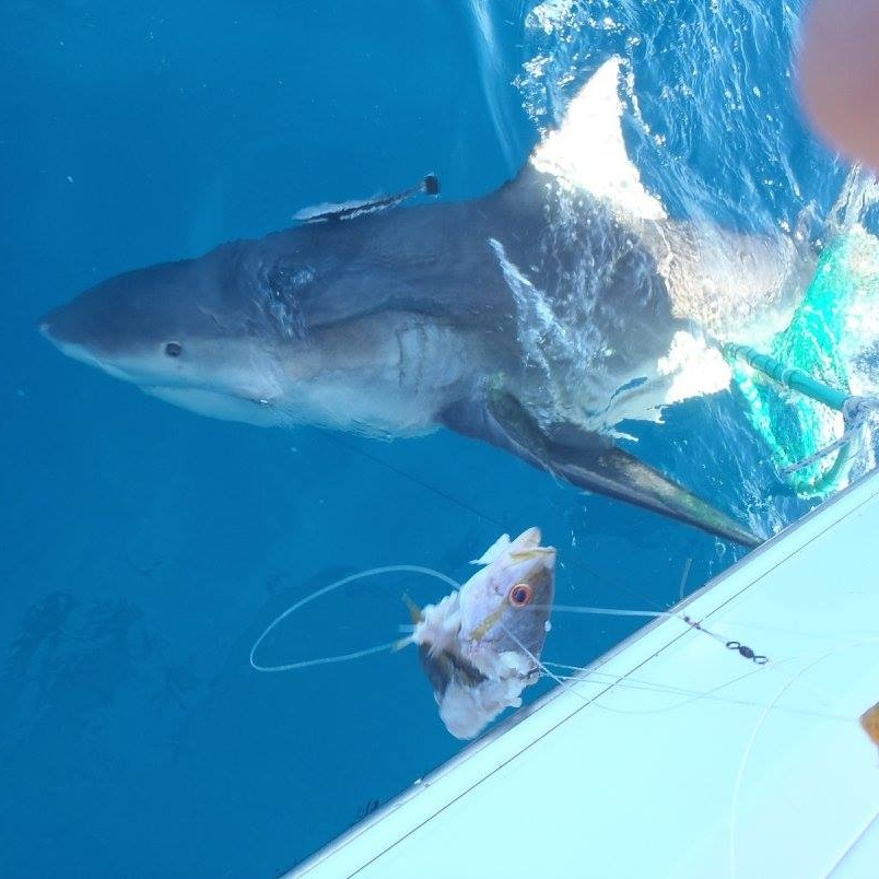 A fishing trip in FL