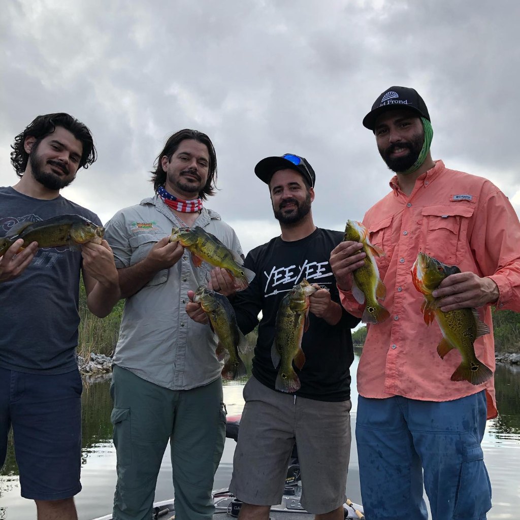 6 unspecified fish caught in Fort Lauderdale