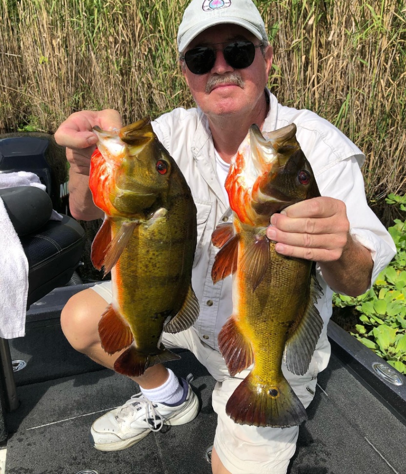 Two 15-inch fish caught in Fort Lauderdale