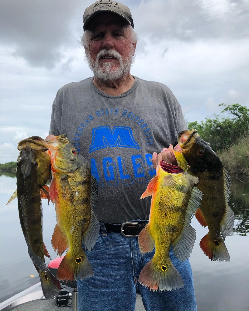 4 freshwater fish caught in Fort Lauderdale