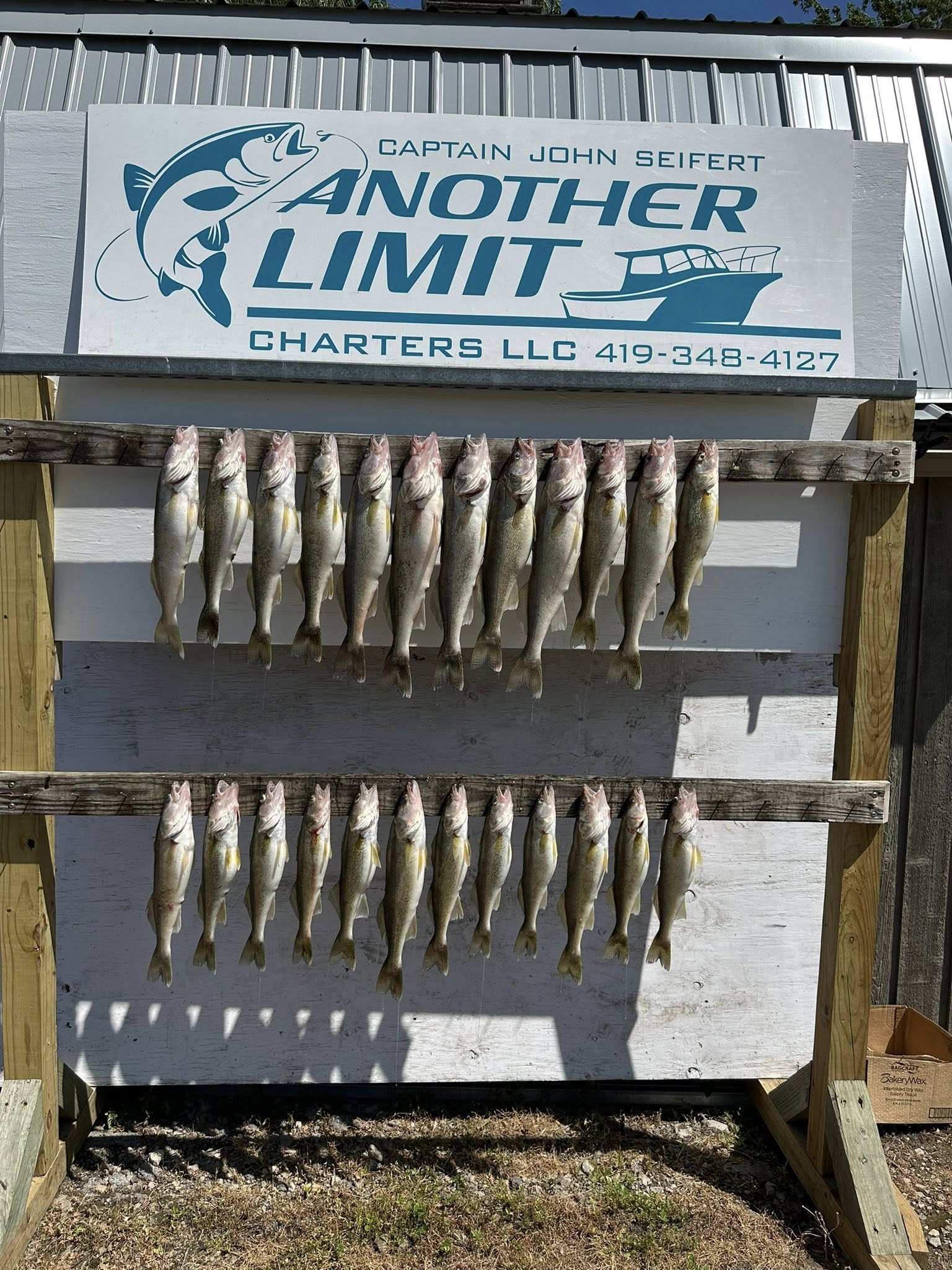 11 fish caught during a fishing trip in OH