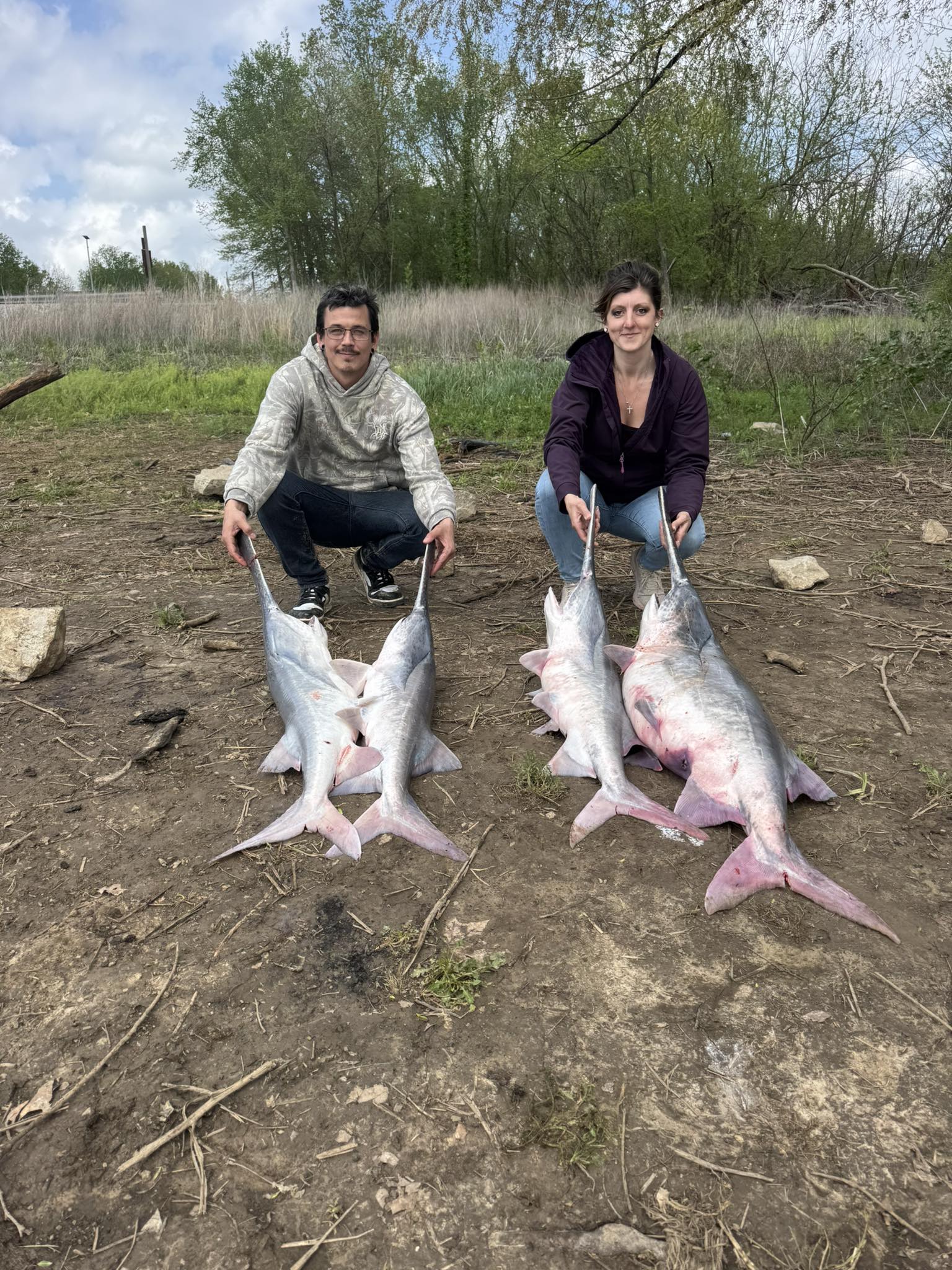 Four large catfish displayed on shoreline after successful fishing trip in Warsaw MO