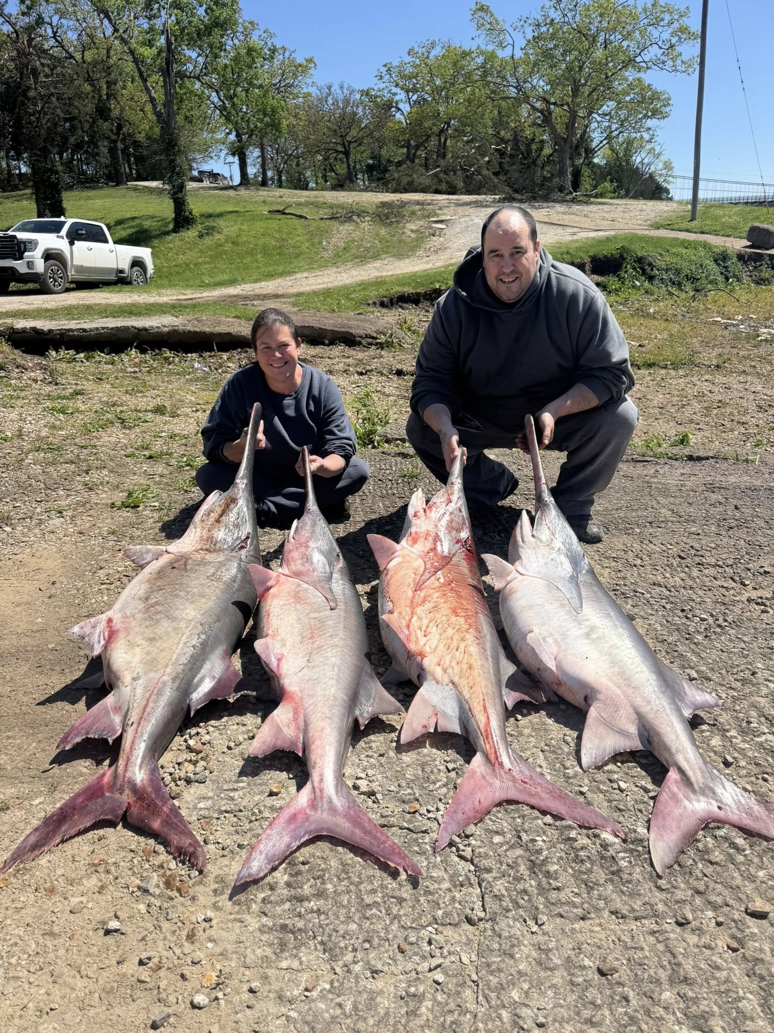 Four large fish laid out on ground with two people posing behind their successful fishing catch