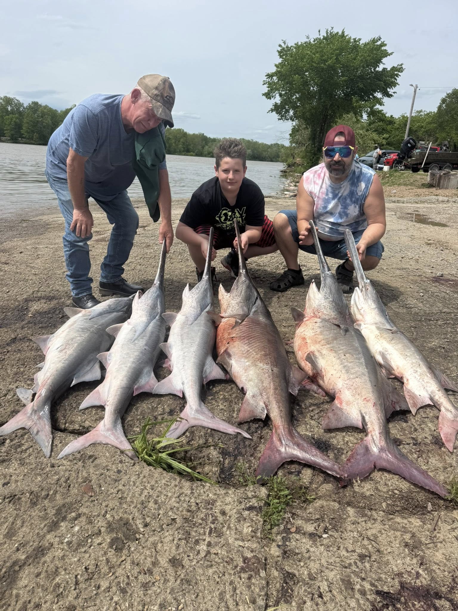Multiple large fish arranged on shore displaying successful fishing trip catch