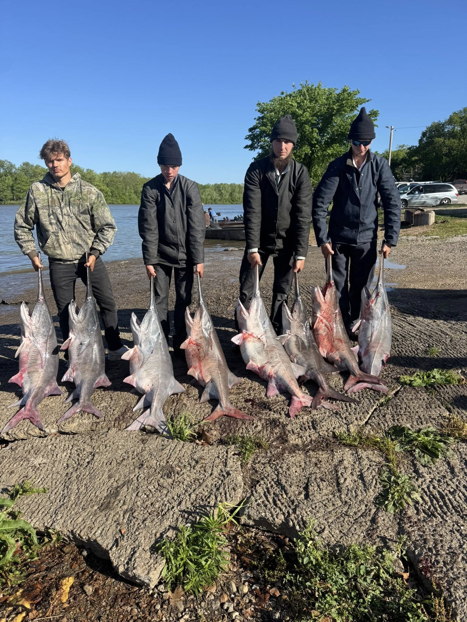 Successful fishing trip displaying six large caught fish lined up on shore near boat ramp