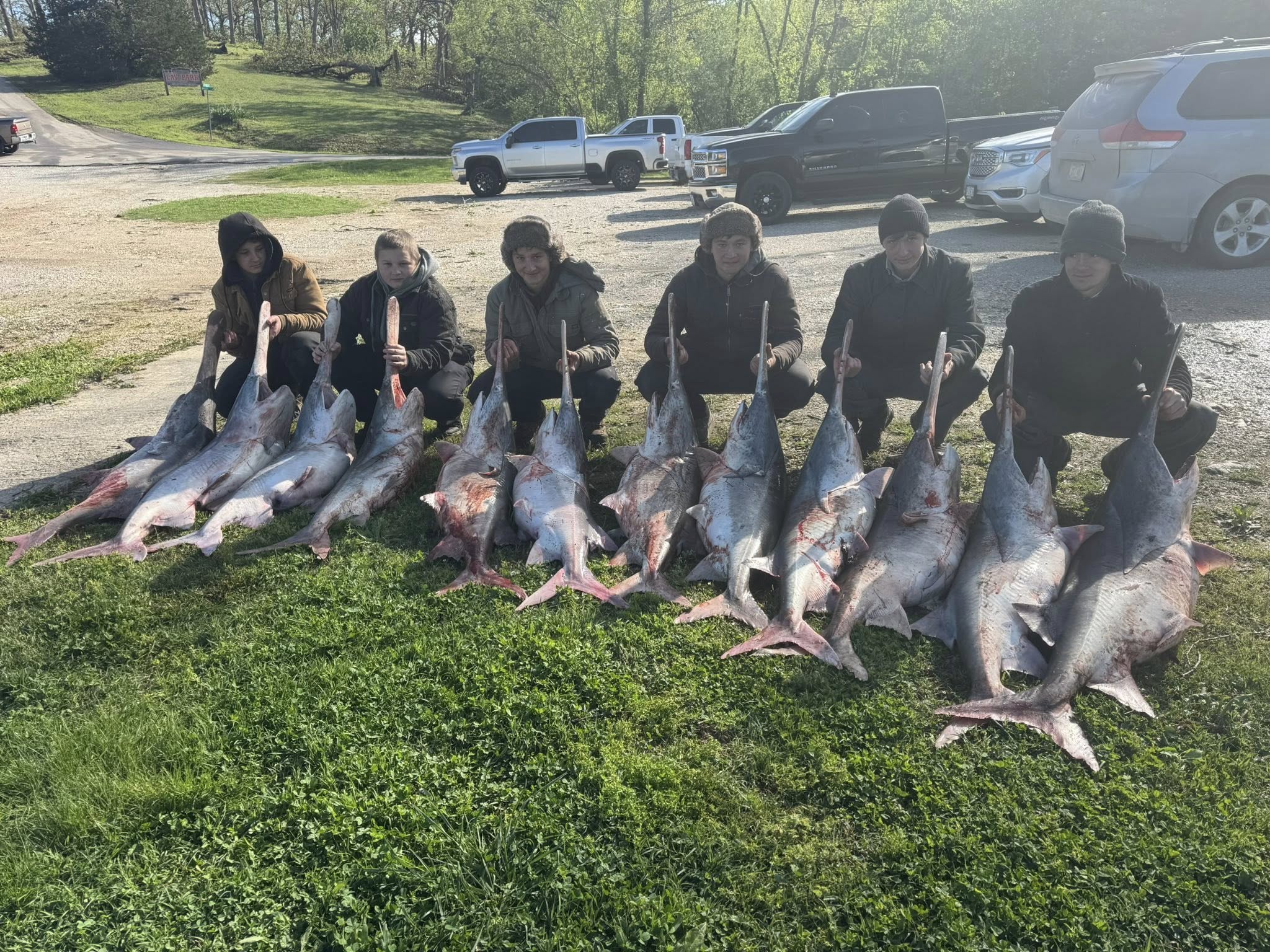 Multiple large fish displayed on grass after successful fishing trip with six people posing behind their catch