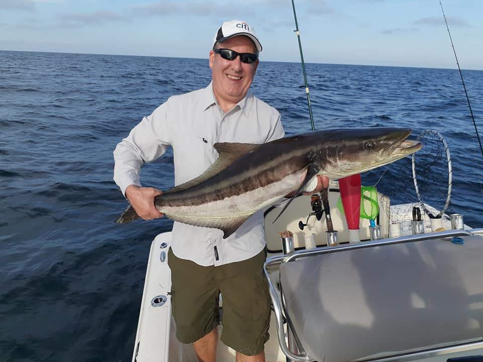 A lone cobia fish caught in Florida