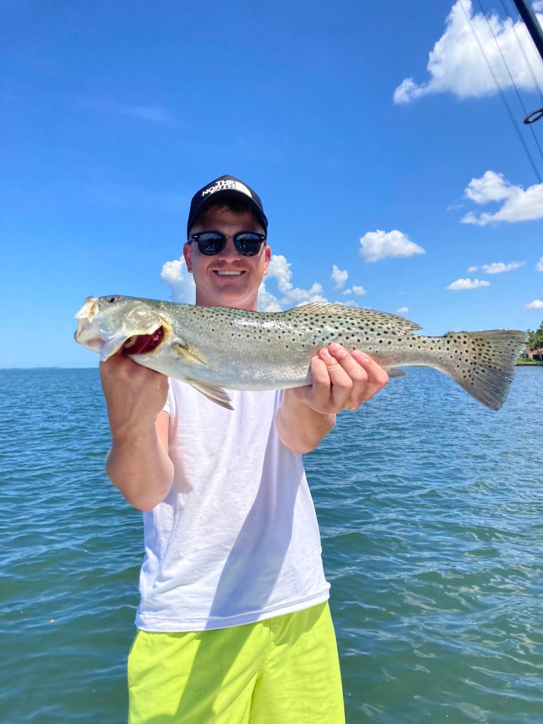 Caught a spotted weakfish, 26 inches long, in Sarasota, Florida