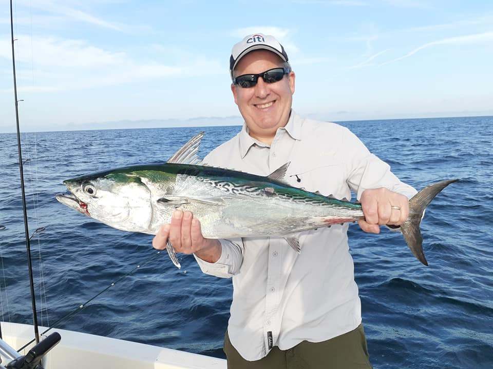little tunny fish caught in sarasota