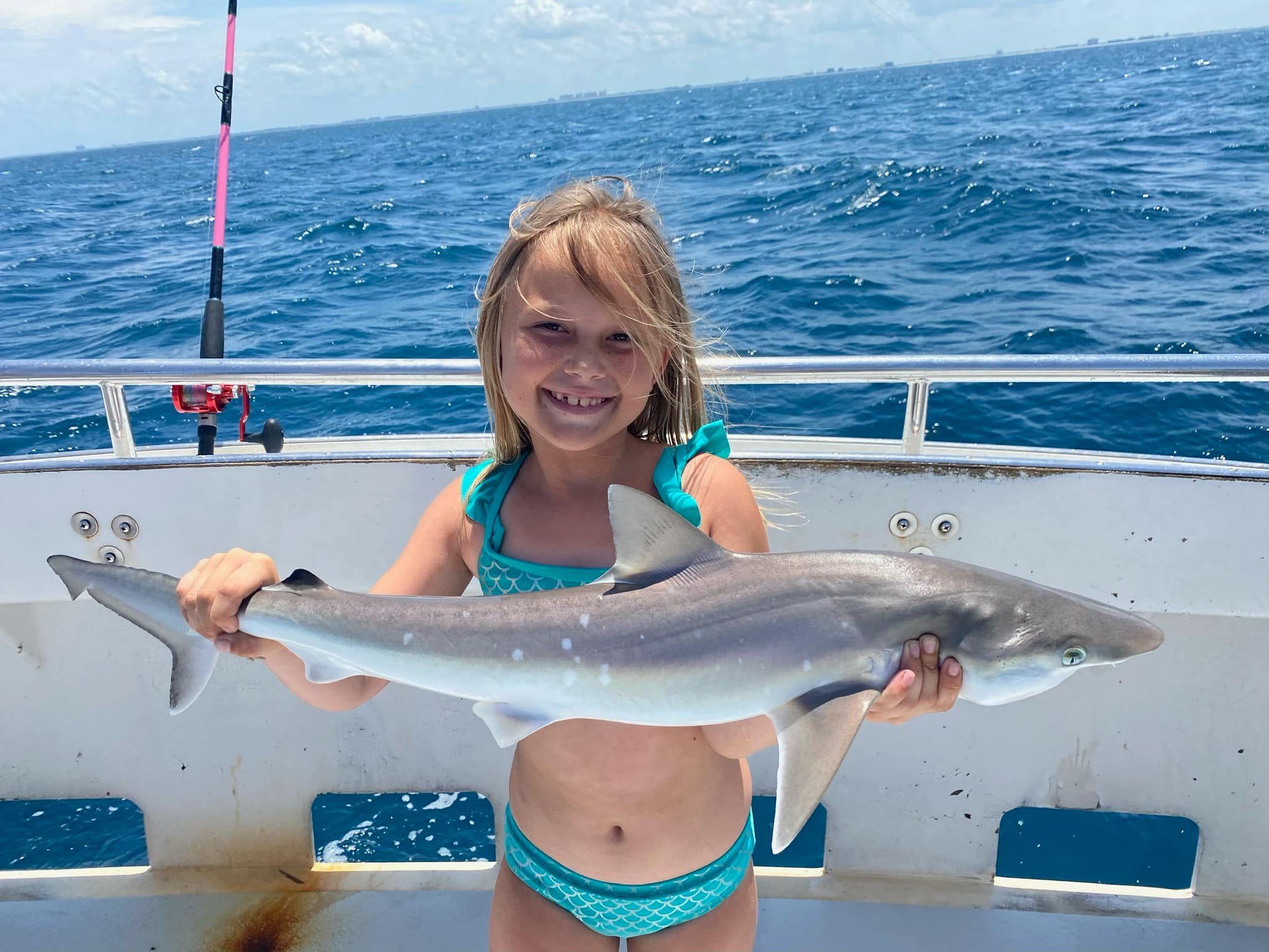 A fisherman catching a Dusky Smooth-Hound in Florida