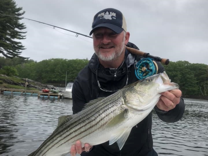 Striped bass caught in Biddeford