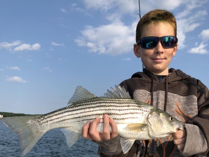 Striped bass caught in Maine