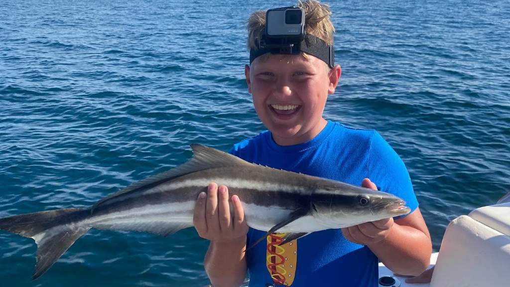 Cobia fish caught in Saint Augustine