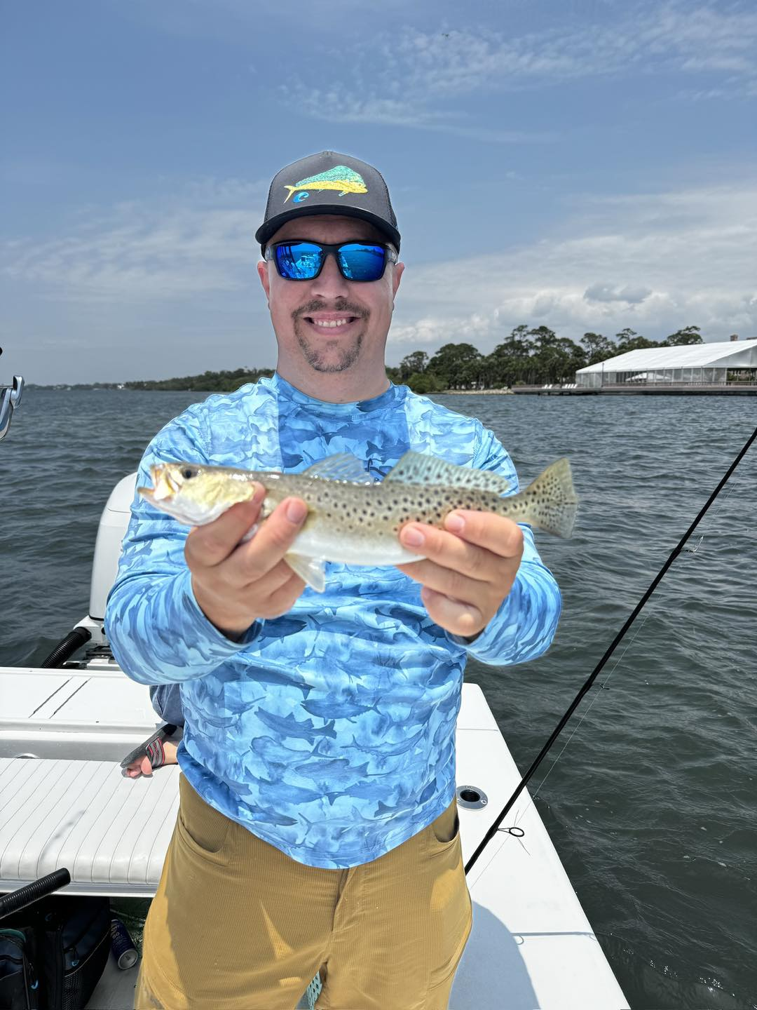 Spotted Weakfish, 15 inches, caught in Sarasota