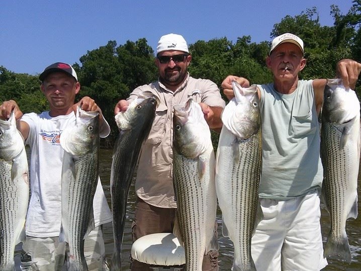 Top-notch Lake Texoma Fishing for Striped Bass