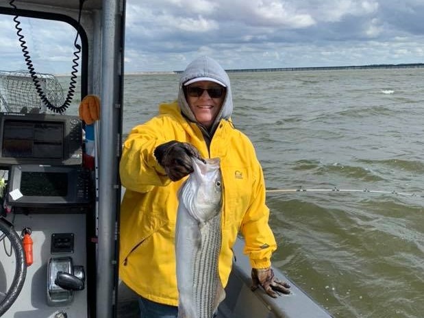 Striped Bass Run, Fishing in Lake Texoma
