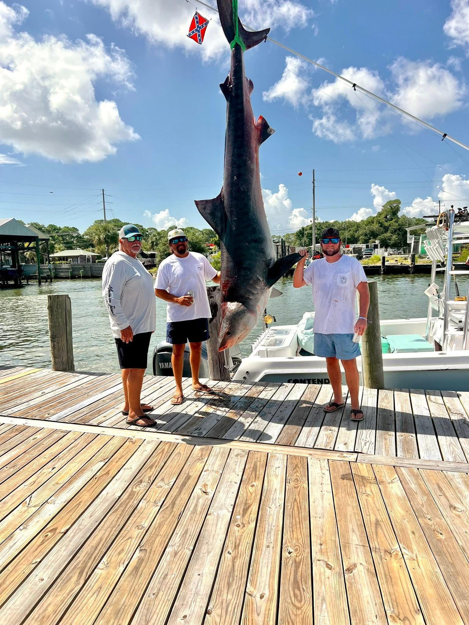 Hardhead Sea Catfish caught by 3 people on Dauphin Island