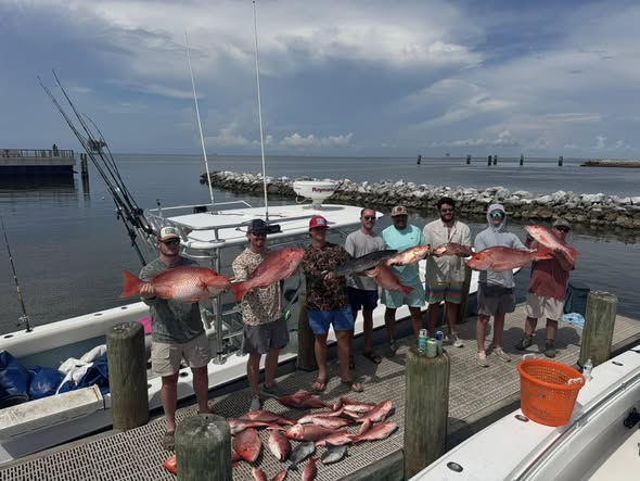 Red snapper fishing charter catch display on boat dock at Dauphin Island Alabama