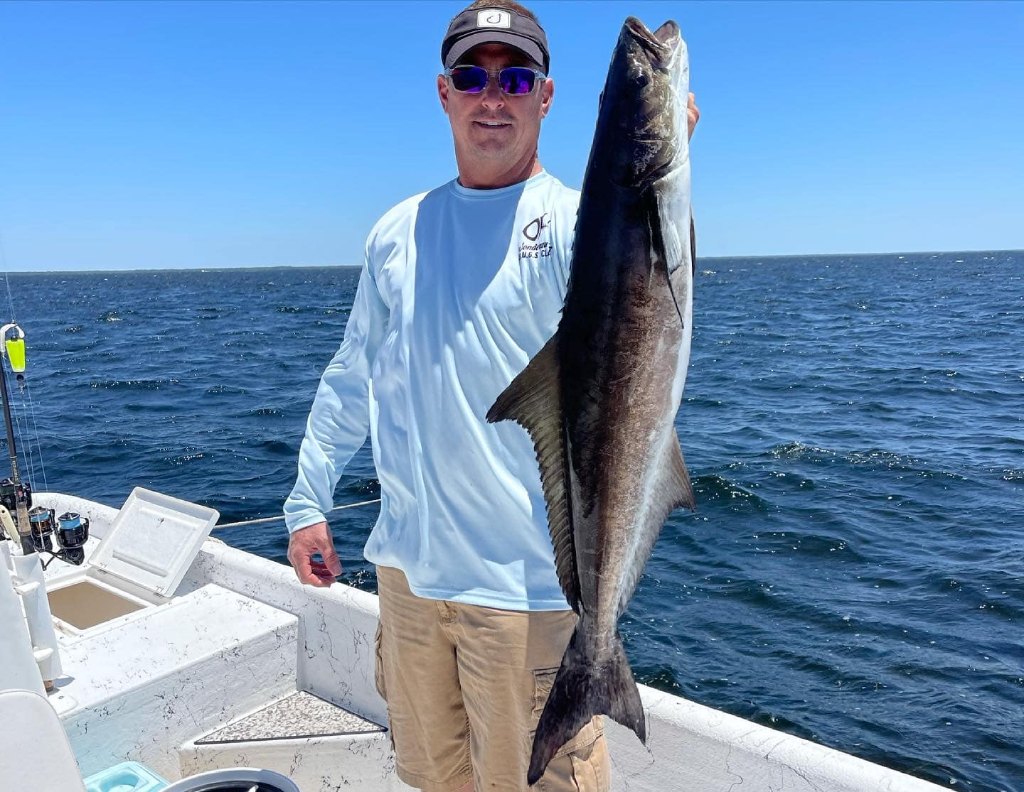 Cobia fish caught in Saint Marks