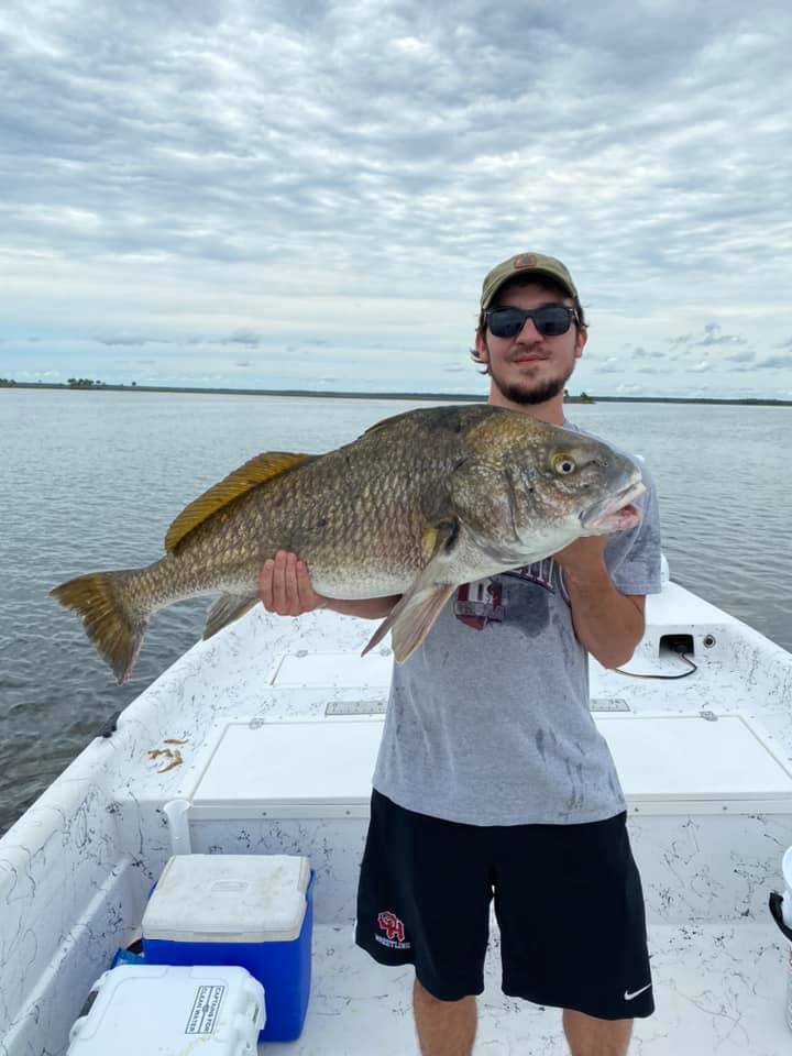 Massive black drum fish caught in FL