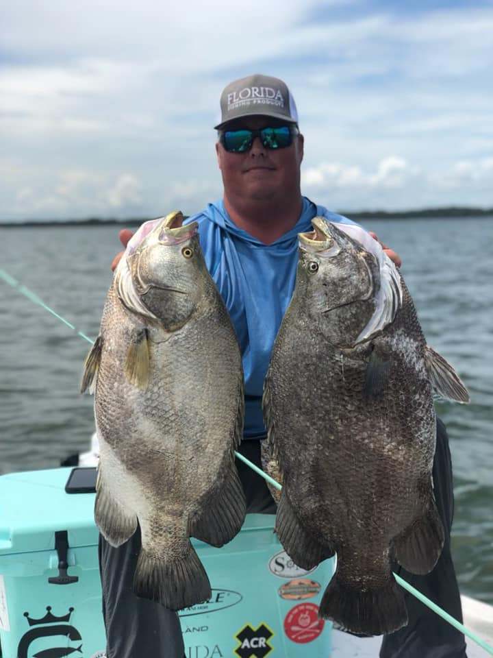 Two huge tripletail fish caught in FL