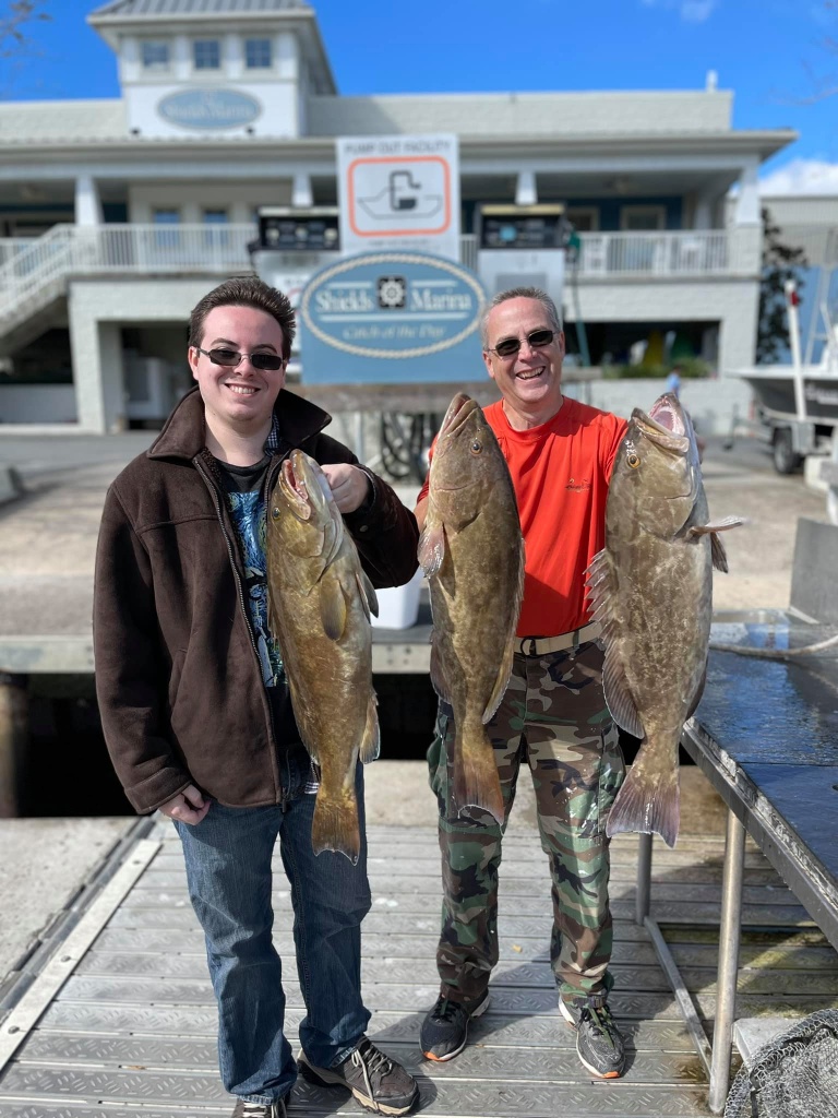 Three Gag Grouper, caught in FL