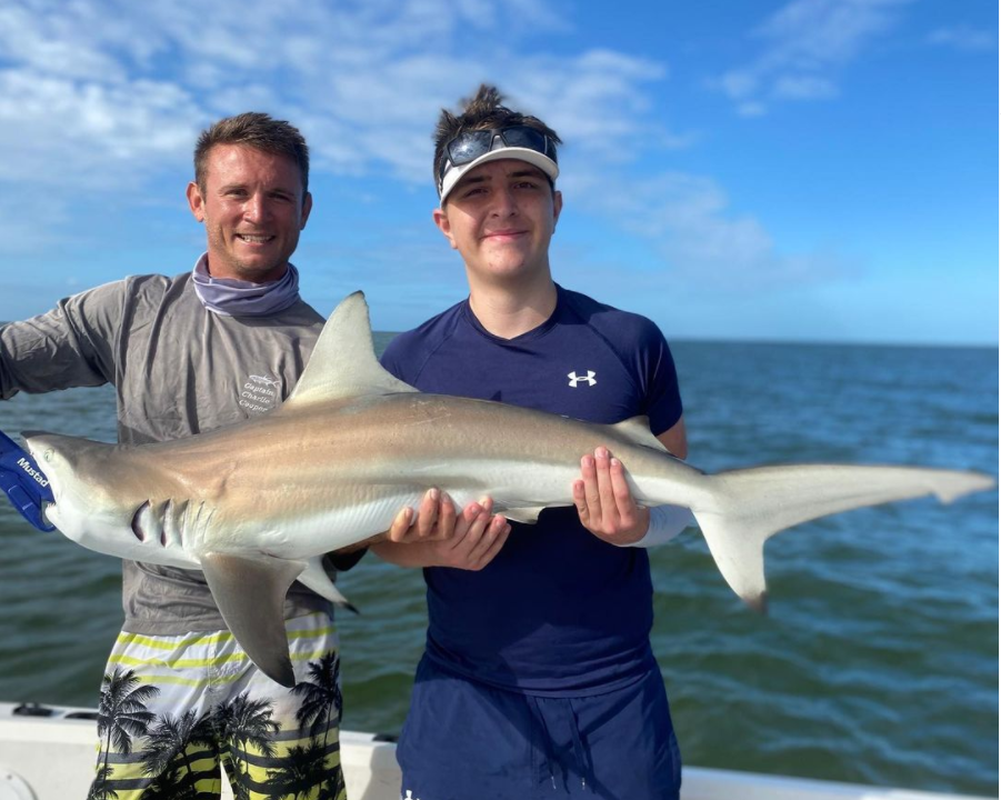 A blacktip shark swimming in the ocean near Fort Myers