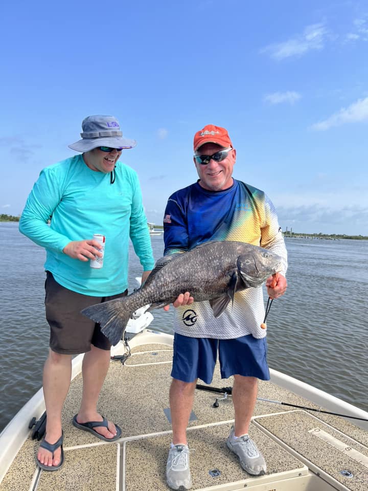 Black Drum caught while fishing in LA
