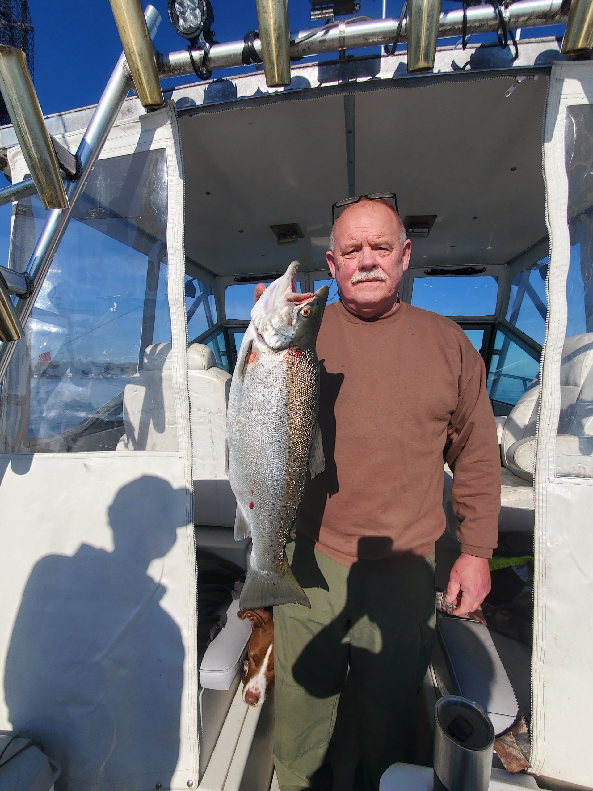 Rainbow trout catch displayed on fishing boat in Mexico NY