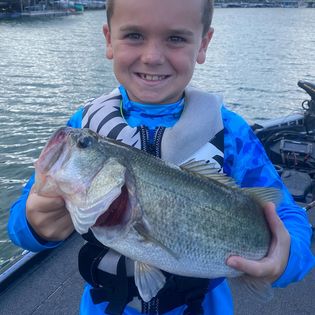 Largemouth Bass caught in Austin