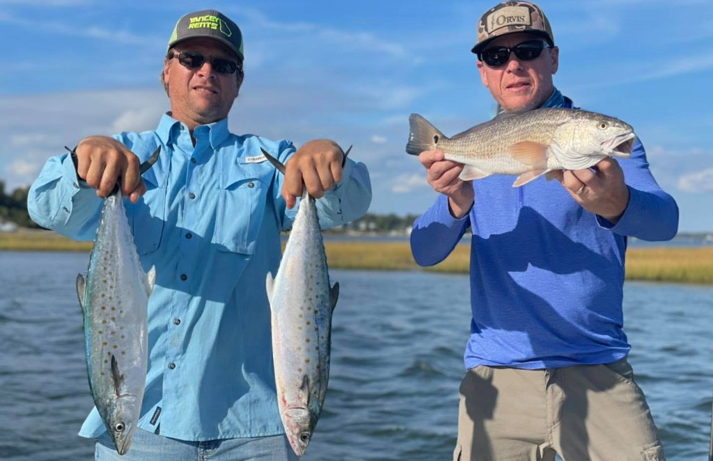 Three Spanish Mackerel, a great catch in Stella