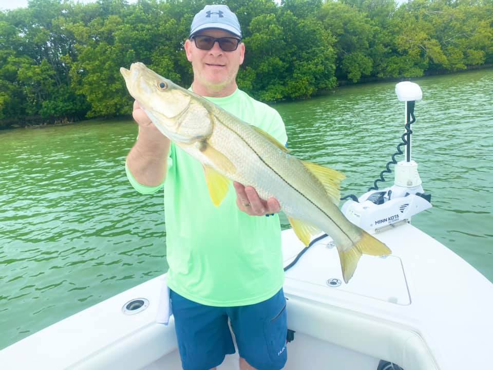 Snook, a 23-inch fish, caught in St. Petersburg