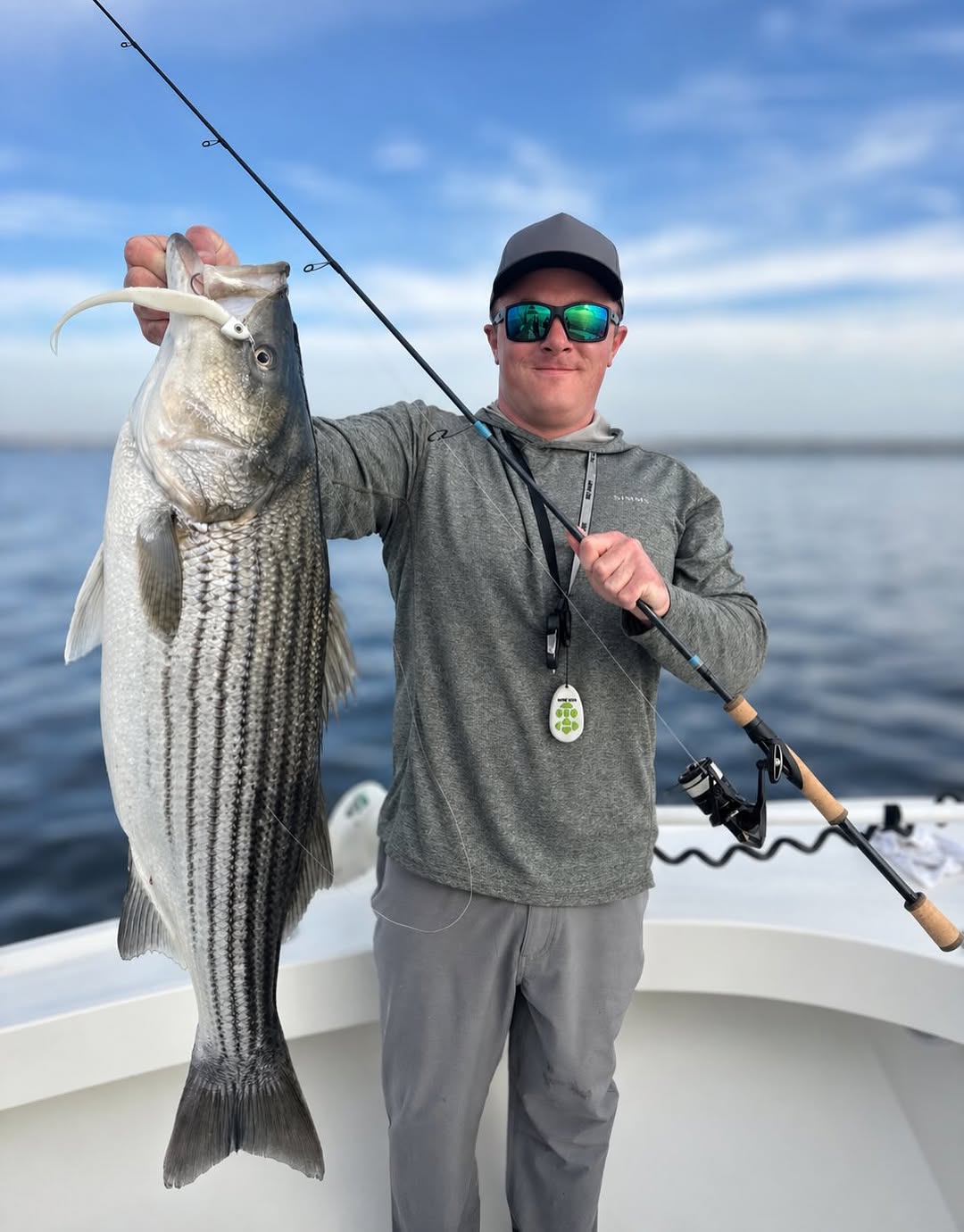Striped bass catch held on fishing boat in Barnegat Light NJ waters