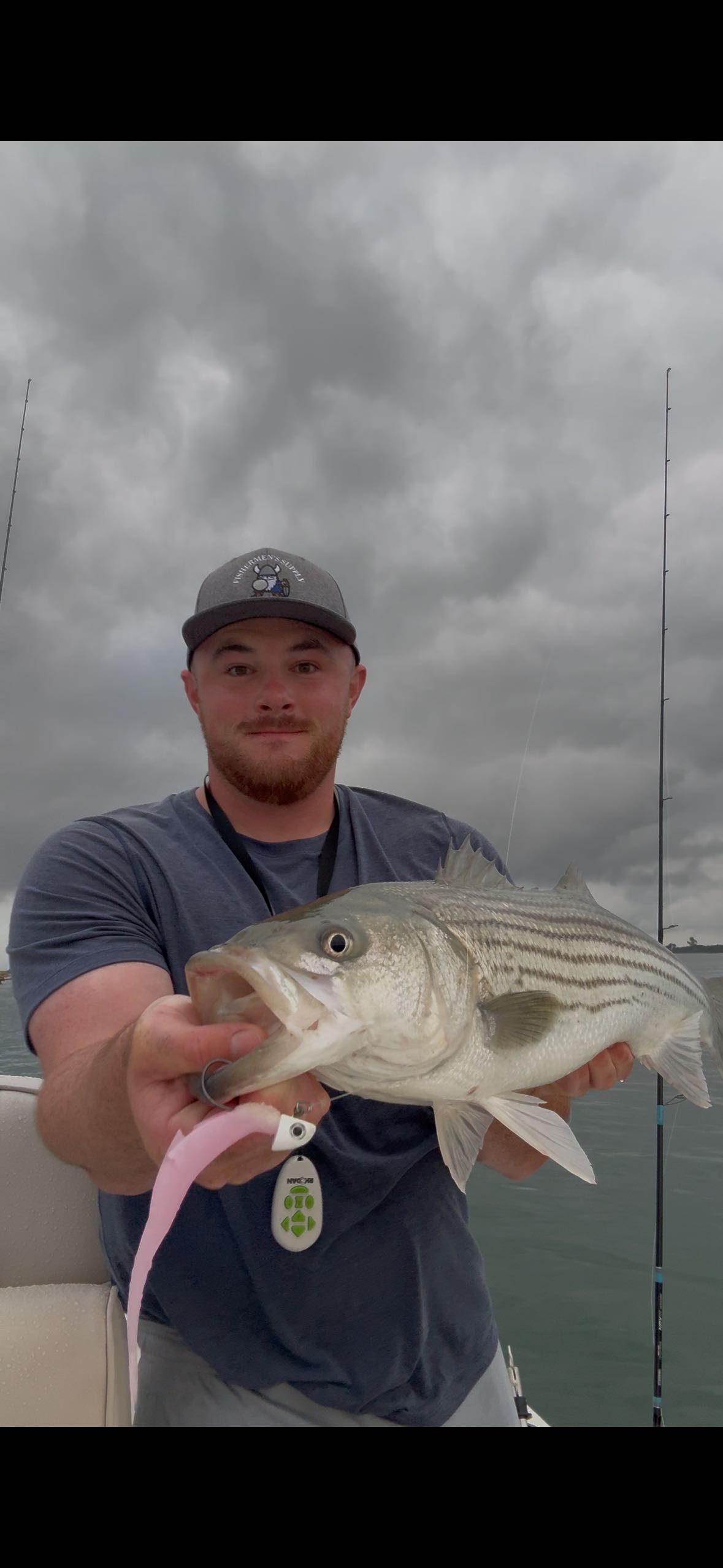 Striped bass caught during fishing charter in Barnegat Light NJ