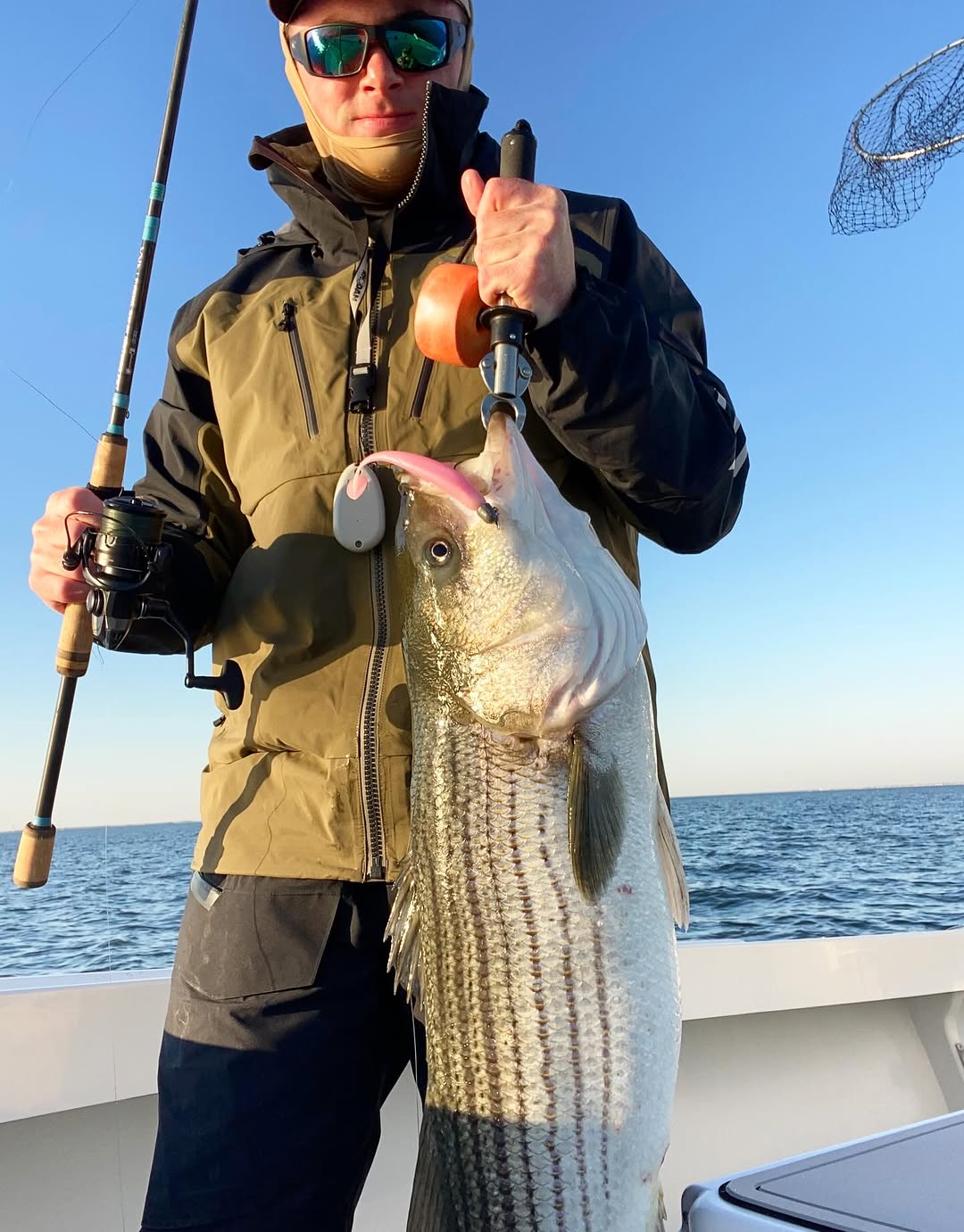Striped bass caught while fishing in Barnegat Light NJ