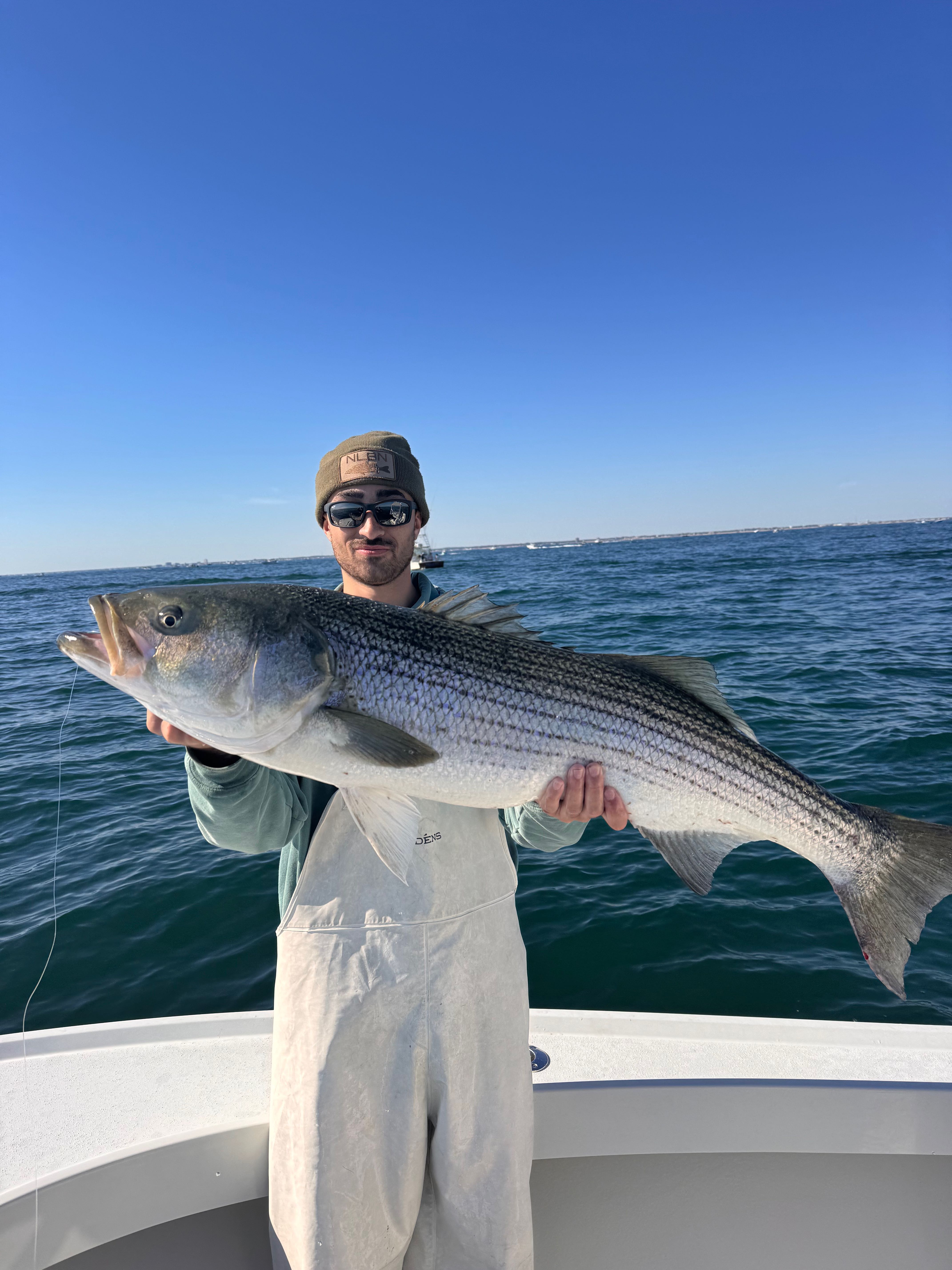 Large striped bass caught during fishing charter in Barnegat Light NJ