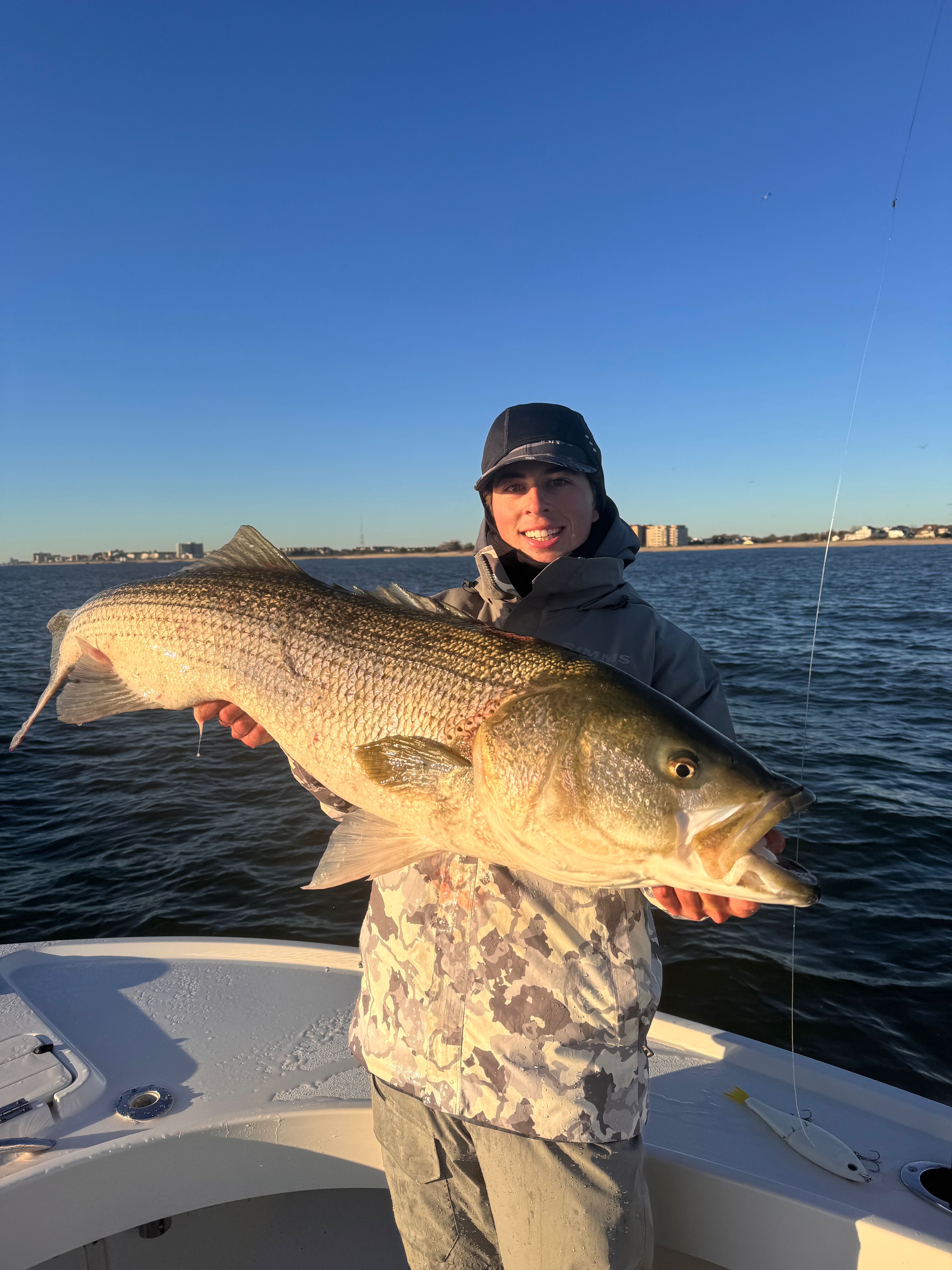 Large striped bass caught during fishing charter in Barnegat Light NJ