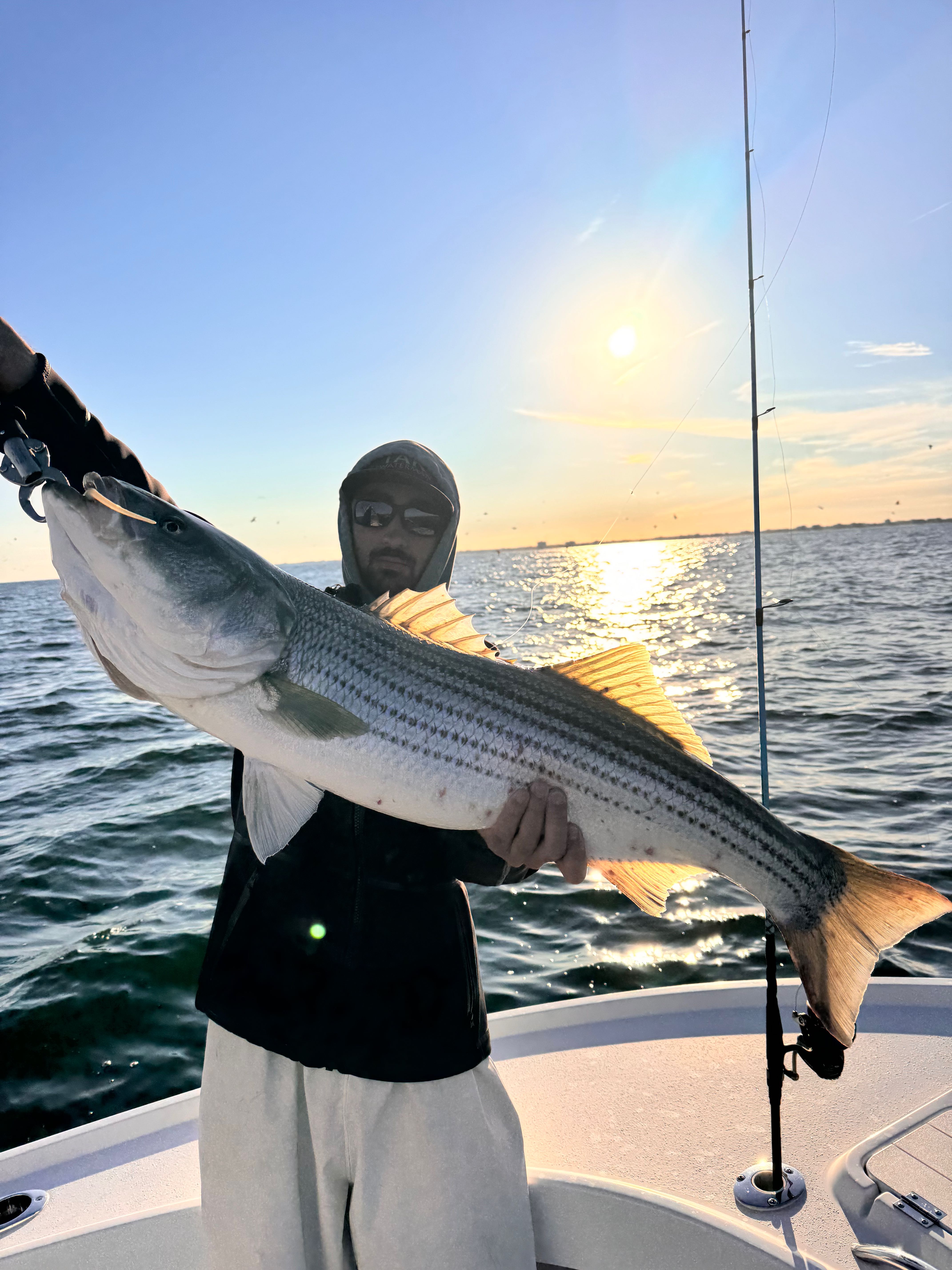 Striped bass caught during fishing tour in Barnegat Light NJ