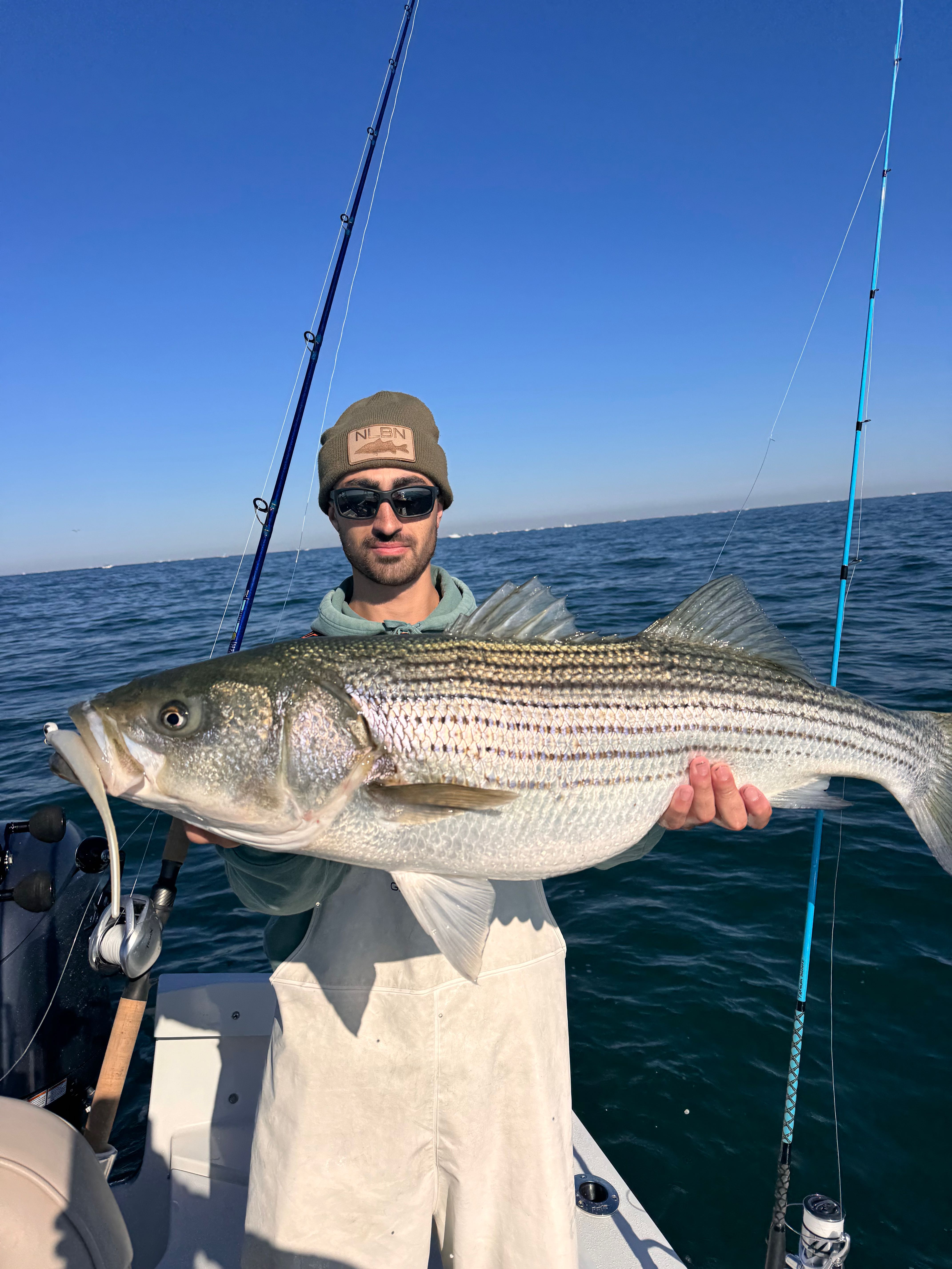 Striped bass caught during fishing charter in Barnegat Light NJ