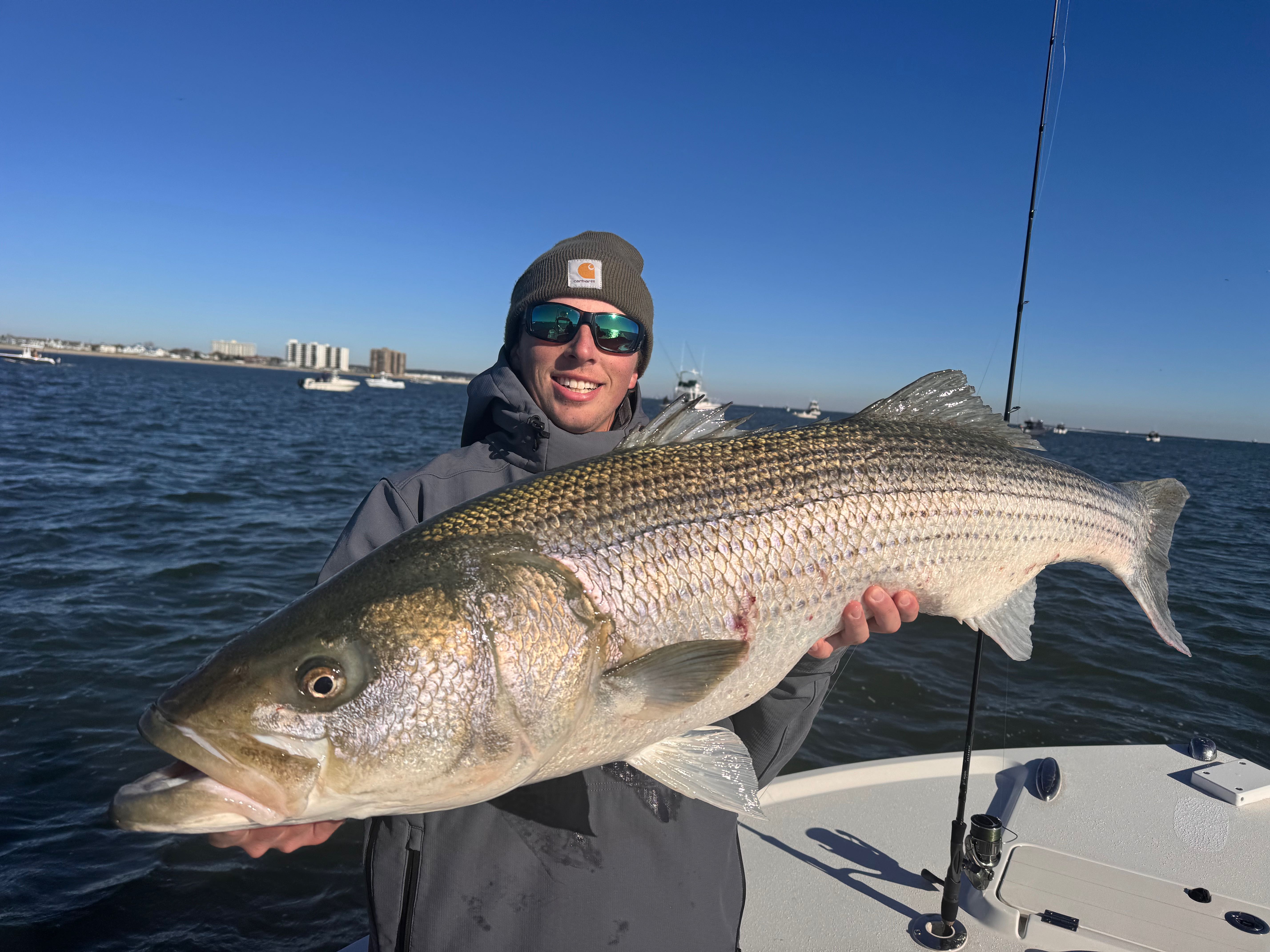 Large striped bass caught during fishing charter in Barnegat Light NJ
