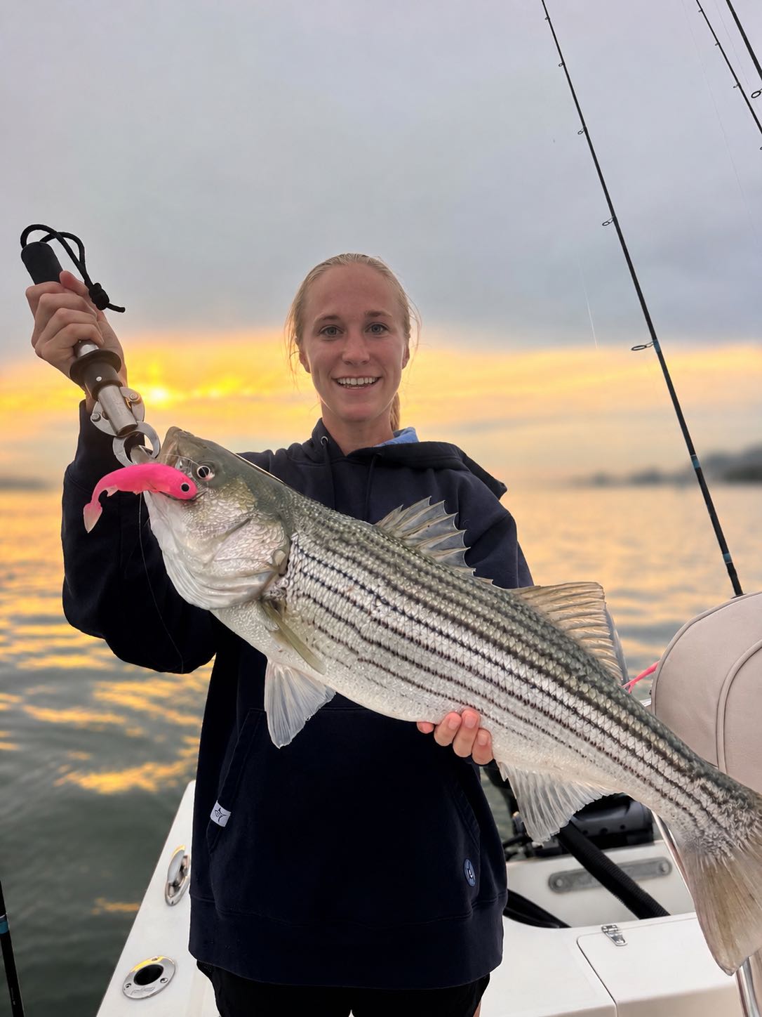 Striped bass caught during fishing charter in Barnegat Light NJ at sunset