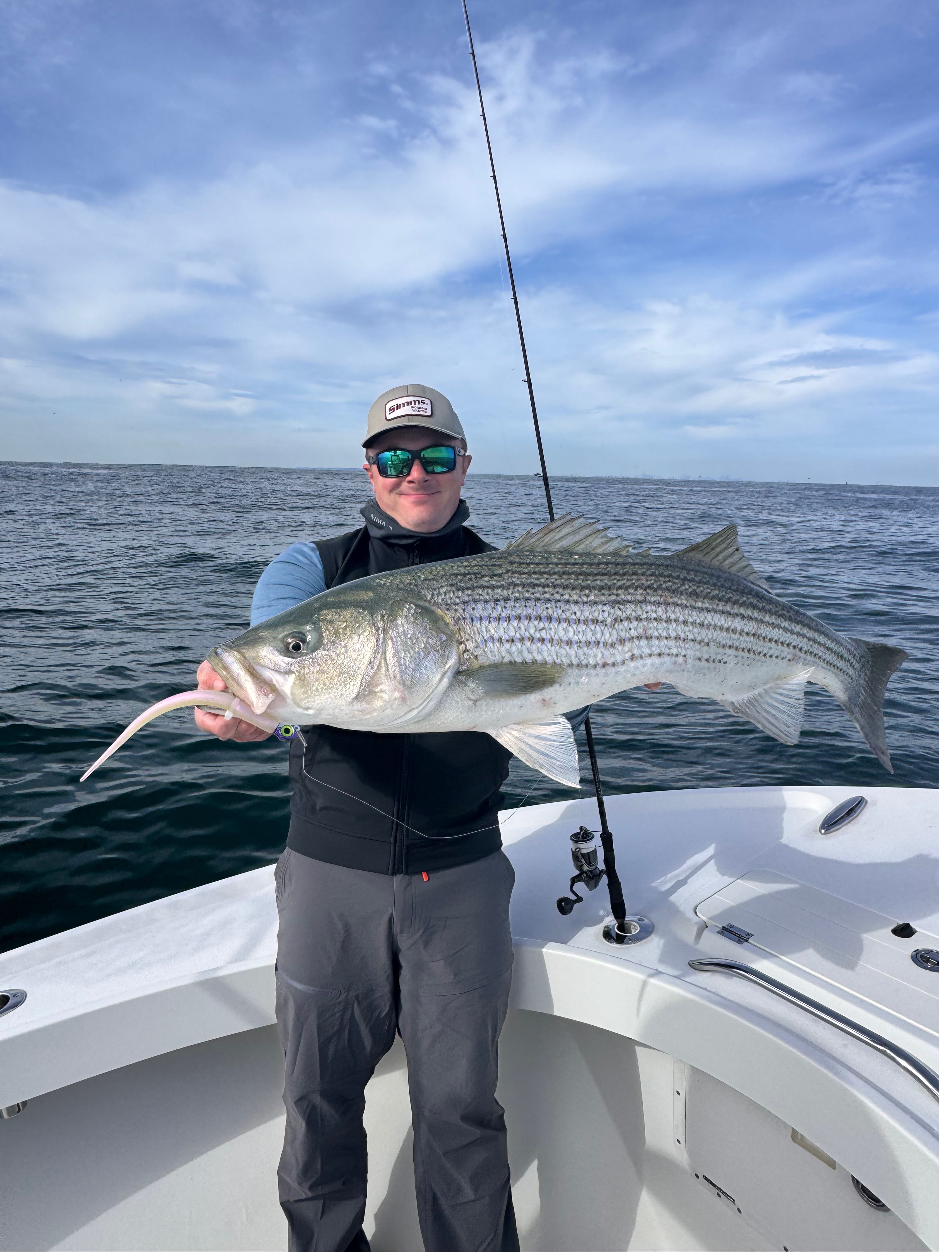 Large striped bass caught during fishing charter in Barnegat Light NJ